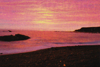 真っ赤な夕日に覆われるカイコウラの海