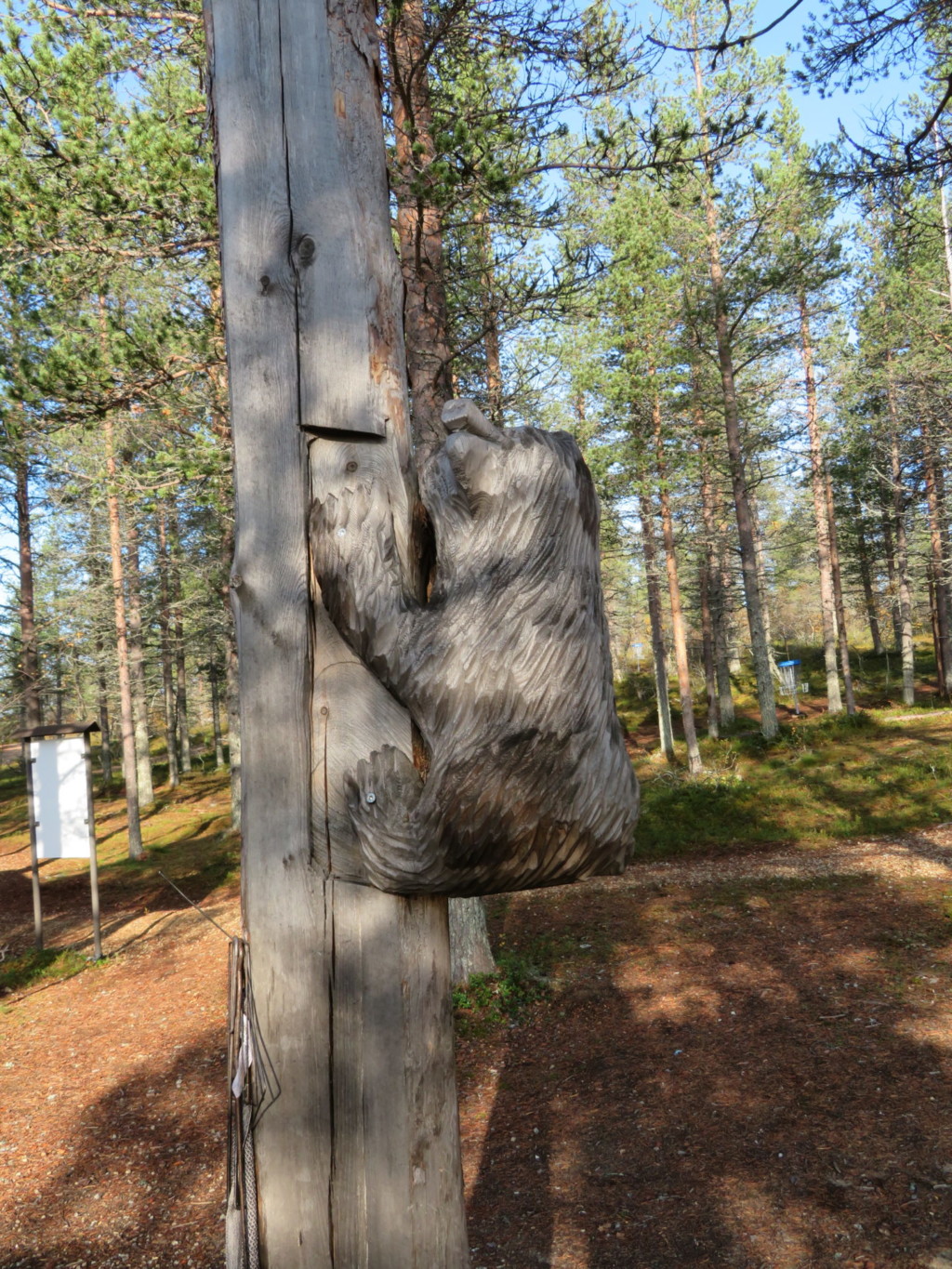 木に登るクマの彫り物